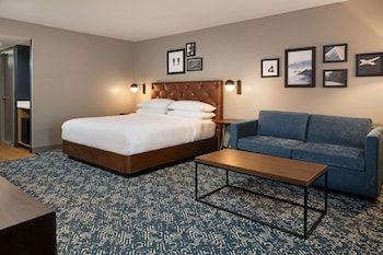 Traditional Room, 1 King Bed with Sofa bed (Mobility/Hearing Access, Roll-in Shwr)