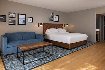 Traditional Room, 1 King Bed with Sofa bed (Mobility/Hearing Access, Roll-in Shwr)