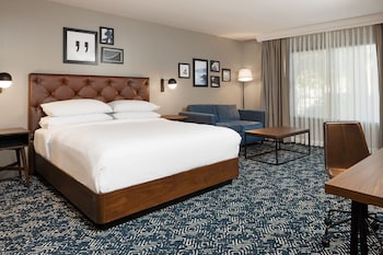 Traditional Room, 1 King Bed with Sofa bed (Mobility/Hearing Access, Roll-in Shwr)