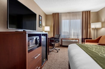 Suite, 1 King Bed with Sofa bed, Non Smoking (Upgrade)