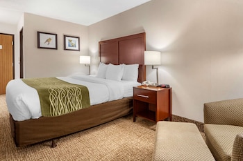 Standard Room, 1 King Bed, Non Smoking