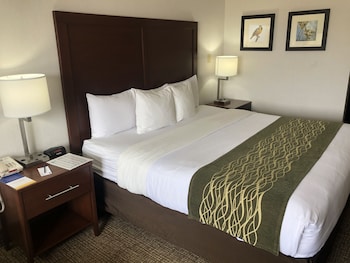 Suite, 1 King Bed with Sofa bed, Non Smoking (Upgrade)