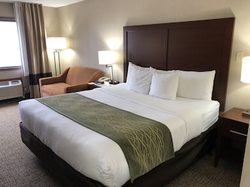 Suite, 1 King Bed with Sofa bed, Non Smoking (Upgrade)