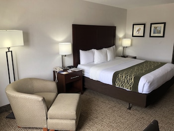 Standard Room, 1 King Bed, Non Smoking