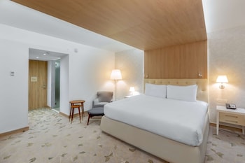 Standard Room, 1 King Bed, Accessible (Mobility & Hearing, Roll-in Shower)