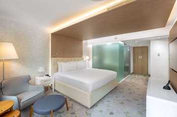 Basic Room, 1 King Bed