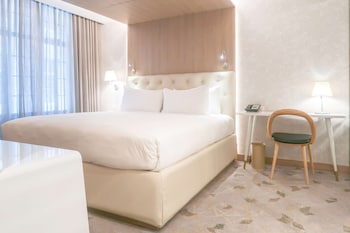 Basic Room, 1 King Bed