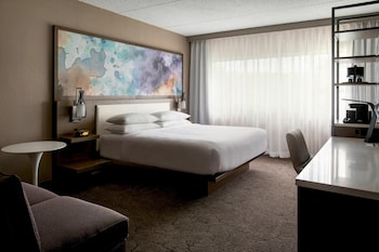 Room, 1 King Bed with Sofa bed (Mobility/Hearing Accessible, Tub)