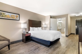 Standard Room, 1 King Bed, Non Smoking