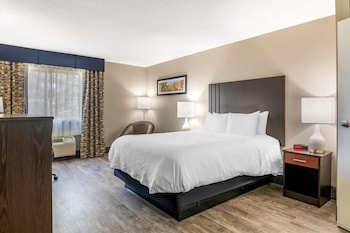 Standard Room, 1 King Bed, Non Smoking