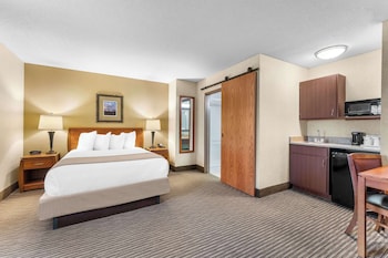 Suite, 1 Queen Bed, Non Smoking, Kitchenette (with Sofabed)