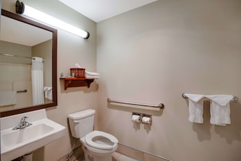 Standard Room, 1 Queen Bed, Accessible, Refrigerator & Microwave (Walk-in Shower)