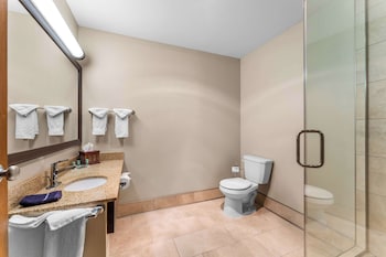Suite, 1 King Bed, Non Smoking, Refrigerator & Microwave (Walk-in Shower;with Sofabed)