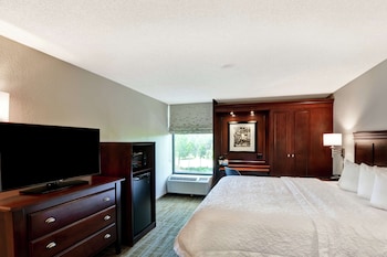 Room, 1 King Bed, Accessible, Bathtub