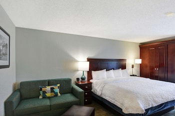 Deluxe Room, 1 King Bed