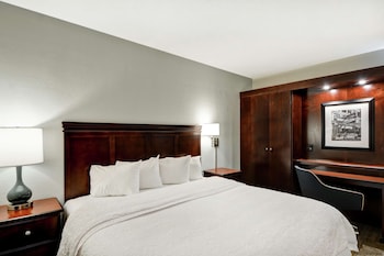 Room, 1 King Bed, Accessible, Bathtub