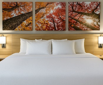 Suite, 1 King Bed, Non Smoking