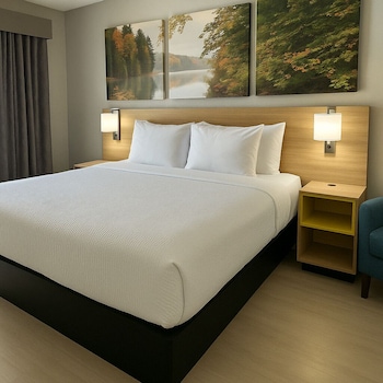 Room, 1 King Bed, Mobility Accessible, Non Smoking (Bathtub w/ Grab Bars)