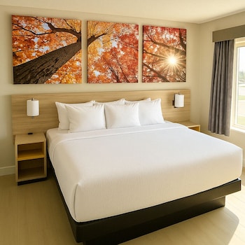 Room, 1 King Bed, Mobility Accessible, Non Smoking (Bathtub w/ Grab Bars)