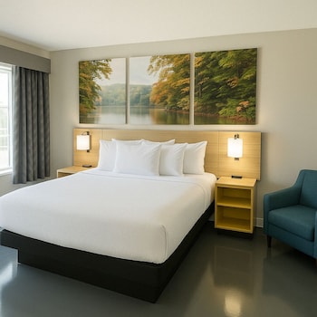 Room, 1 King Bed, Mobility Accessible, Non Smoking (Bathtub w/ Grab Bars)