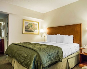 Room, 1 King Bed, Accessible, Non Smoking
