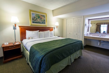 Room, 1 King Bed, Accessible, Non Smoking