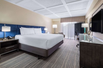 Room, 1 King Bed, Accessible, Non Smoking