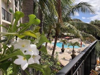 Room, 1 King Bed, Non Smoking, Pool View