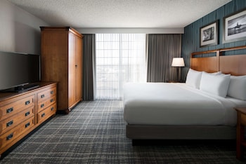 Room, 1 King Bed, Non Smoking (Shower)