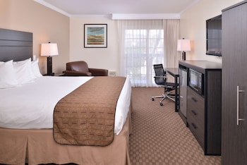 Standard Room, 1 King Bed, Non Smoking, Refrigerator & Microwave