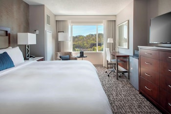 Room, 1 King Bed