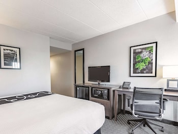 Room, 1 King Bed, Accessible, Non Smoking