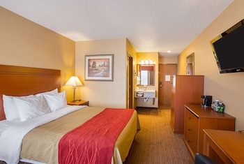 Standard Room, 1 Queen Bed, Non Smoking