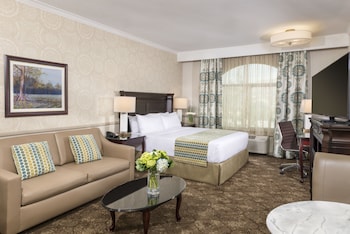 King Studio Suite