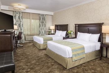 Two Queen Studio Suite