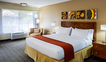 Standard Room, 1 King Bed, Jetted Tub, Pool View