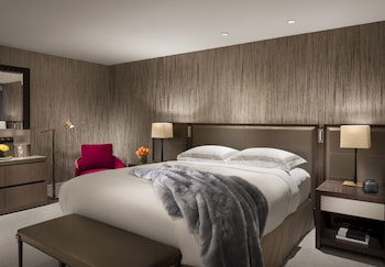 Suite, 1 Bedroom (Specialty)