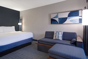 Room, 1 King Bed with Sofa bed