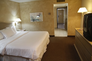 Deluxe Suite, 1 King Bed, Non Smoking