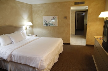 Deluxe Suite, 1 King Bed, Non Smoking
