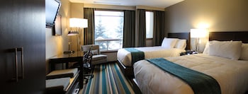 Signature Room, 2 Queen Beds