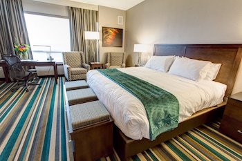 Signature Room, 1 King Bed