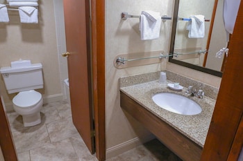 Standard Room, Multiple Beds, Non Smoking (Larger Room)