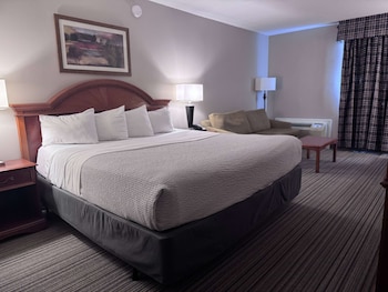 Business Room, 1 King Bed, Non Smoking