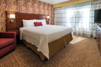Suite, 1 Bedroom