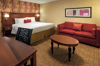 Room, 1 King Bed with Sofa bed (Hearing Accessible)