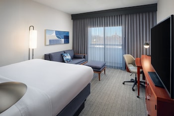 Room, 1 King Bed with Sofa bed