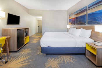Standard Room, 1 King Bed, Accessible, Non Smoking
