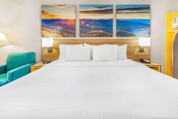Standard Room, 1 King Bed, Non Smoking