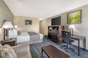 Standard Room, 1 King Bed, Non Smoking, Refrigerator & Microwave (with Sofabed)